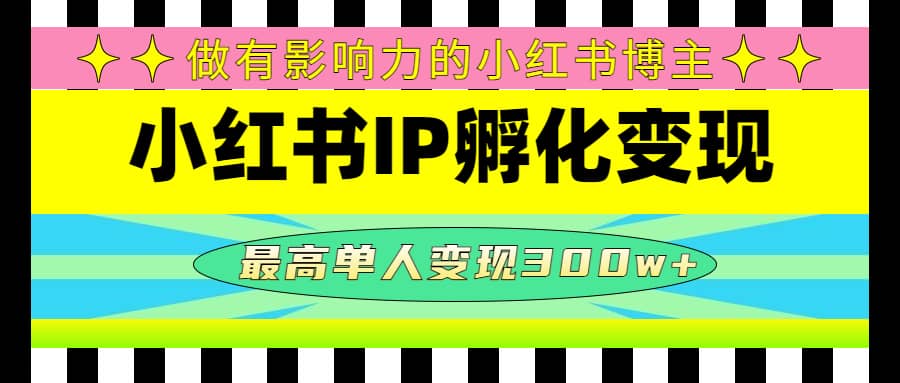 某收费培训-小红书IP孵化变现：做有影响力的小红书博主 - 维兴科技-维兴科技