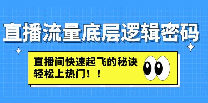 直播流量底层逻辑密码：直播间快速起飞的秘诀，轻松上热门 - 维兴科技-维兴科技