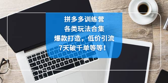 拼多多训练营：各玩法合集，爆款打造，低价引流，7天破千单等等 - 维兴科技-维兴科技