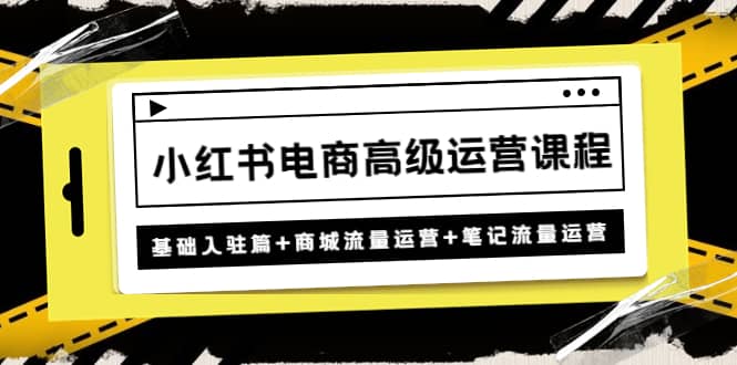 小红书电商高级运营课程：基础入驻篇+商城流量运营+笔记流量运营 - 维兴科技-维兴科技
