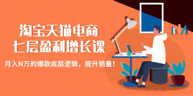 淘宝天猫电商七层盈利增长课：月入N万的爆款底层逻辑，提升销量 - 维兴科技-维兴科技