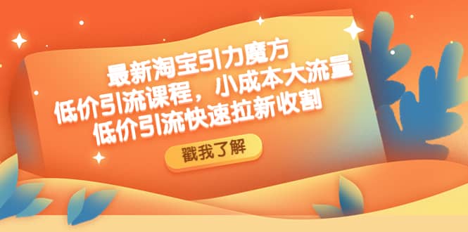 最新淘宝引力魔方低价引流实操：小成本大流量 - 维兴科技-维兴科技