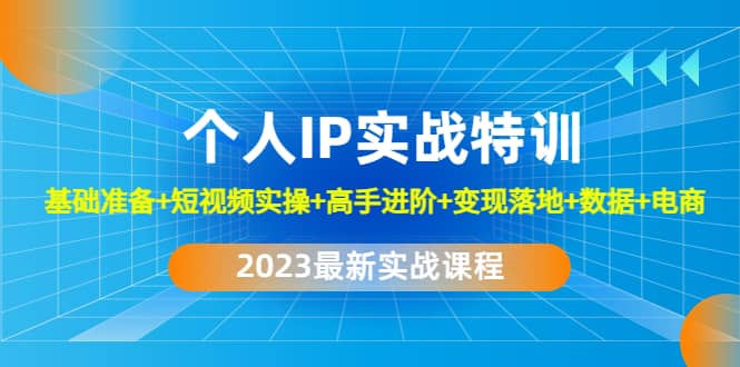 2023个人IP实战特训：基础准备+短视频实操+高手进阶+变现落地+数据+电商 - 维兴科技-维兴科技
