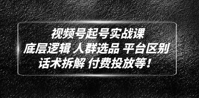 视频号起号实战课：底层逻辑 人群选品 平台区别 话术拆解 付费投放等 - 维兴科技-维兴科技