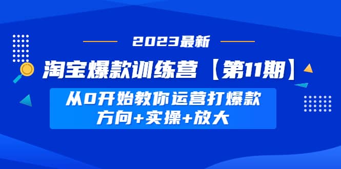 淘宝爆款训练营【第11期】 从0开始教你运营打爆款，方向+实操+放大 - 维兴科技-维兴科技