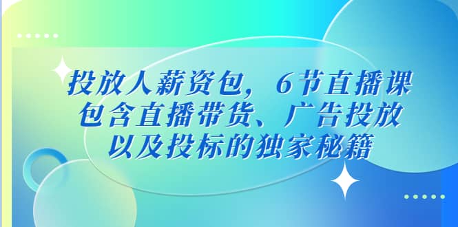 投放人薪资包，6节直播课，包含直播带货、广告投放、以及投标的独家秘籍 - 维兴科技-维兴科技