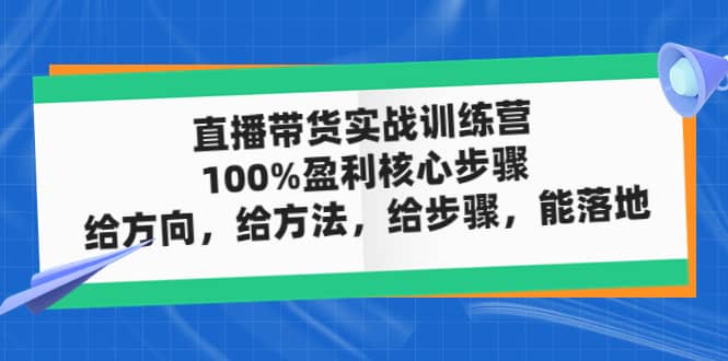 直播带货实战训练营：100%盈利核心步骤，给方向，给方法，给步骤，能落地 - 维兴科技-维兴科技
