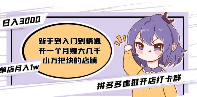 拼多多虚拟开店打卡群：新手到入门到精通 - 维兴科技-维兴科技