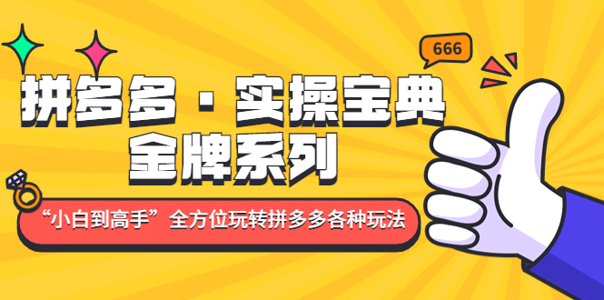 拼多多·实操宝典：金牌系列“小白到高手”带你全方位玩转拼多多各种玩法 - 维兴科技-维兴科技