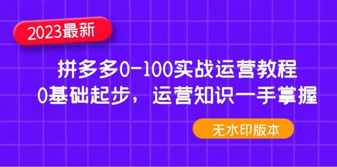 2023拼多多0-100实战运营教程，0基础起步，运营知识一手掌握（无水印） - 维兴科技-维兴科技