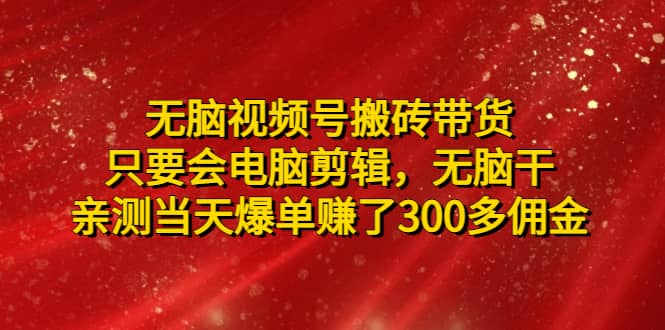 无脑视频号搬砖带货，只要会电脑剪辑，无脑干 - 维兴科技-维兴科技