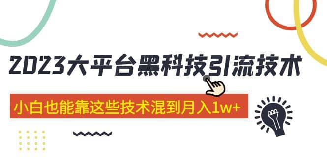 价值4899的2023大平台黑科技引流技术 29节课 - 维兴科技-维兴科技