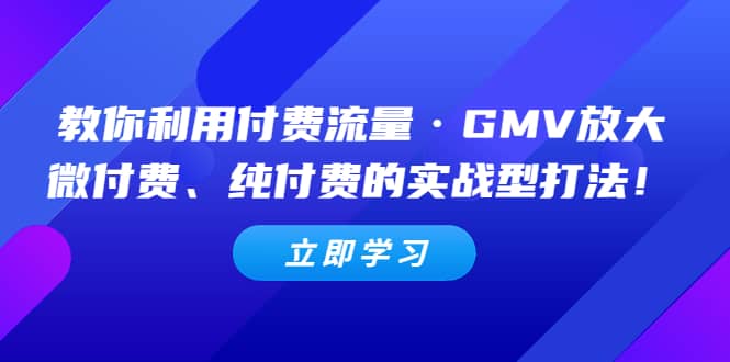 教你利用付费流量·GMV放大，微付费、纯付费的实战型打法 - 维兴科技-维兴科技