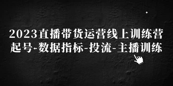 2023直播带货运营线上训练营，起号-数据指标-投流-主播训练 - 维兴科技-维兴科技