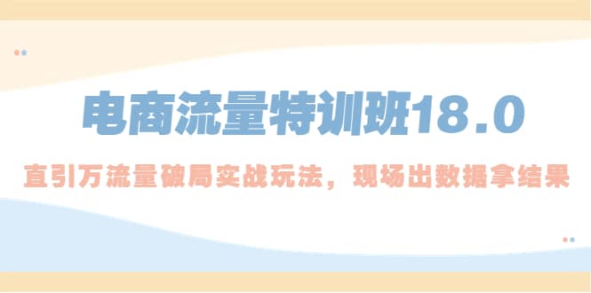 电商流量特训班18.0，直引万流量破局实操玩法，现场出数据拿结果 - 维兴科技-维兴科技