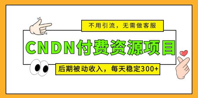 CNDN付费资源项目，不用引流，无需做客服，后期被动收入 - 维兴科技-维兴科技