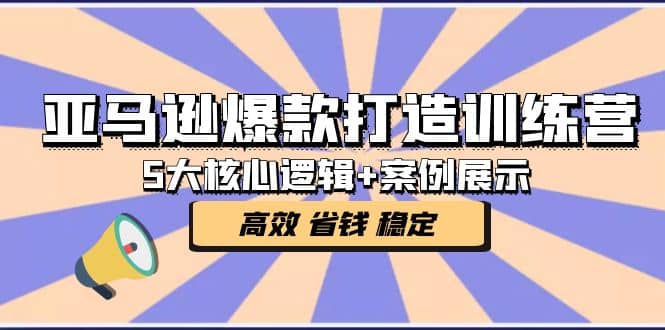 亚马逊爆款打造训练营：5大核心逻辑+案例展示 打造爆款链接 高效 省钱 稳定 - 维兴科技-维兴科技