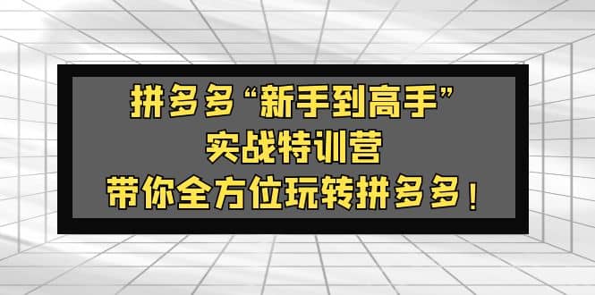 拼多多“新手到高手”实战特训营：带你全方位玩转拼多多 - 维兴科技-维兴科技