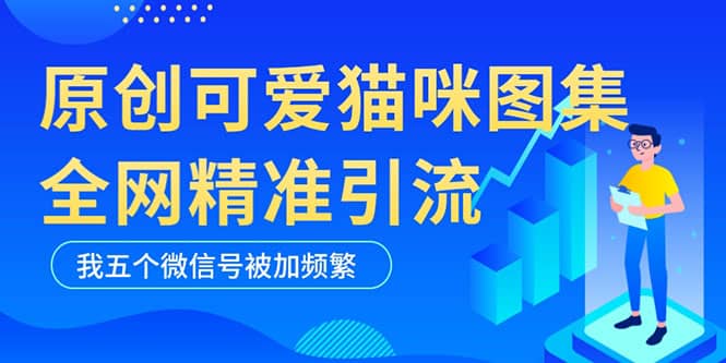 黑科技纯原创可爱猫咪图片，全网精准引流，实操5个VX号被加频繁 - 维兴科技-维兴科技