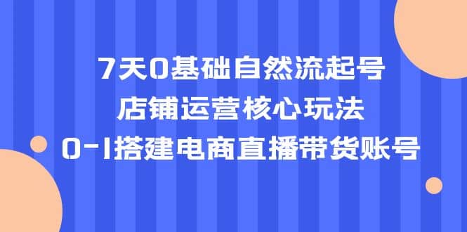 7天0基础自然流起号，店铺运营核心玩法，0-1搭建电商直播带货账号 - 维兴科技-维兴科技