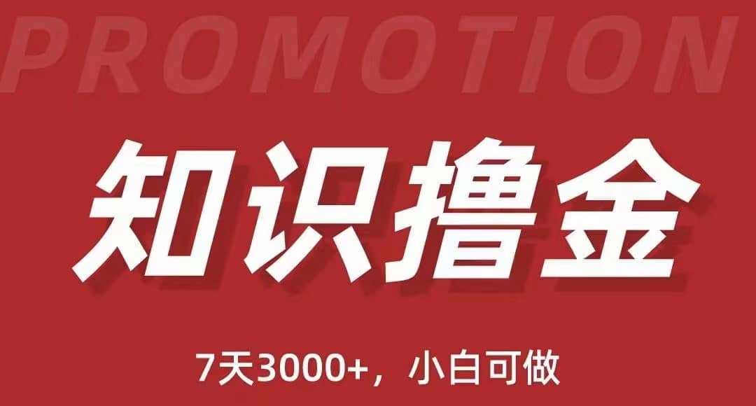 抖音知识撸金项目：执行力强当天见收益(教程+资料) - 维兴科技-维兴科技