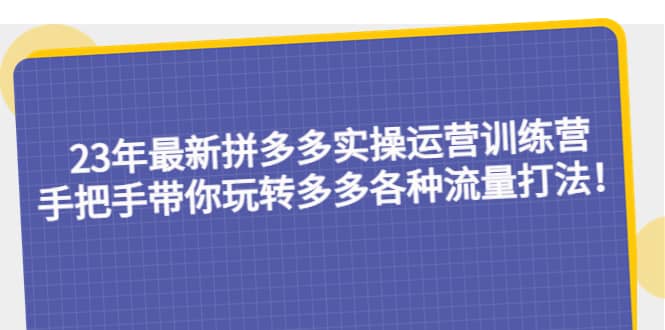 23年最新拼多多实操运营训练营：手把手带你玩转多多各种流量打法！ - 维兴科技-维兴科技