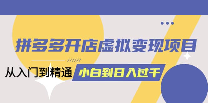 拼多多开店虚拟变现项目：入门到精通 从小白到日入1000（完整版）4月10更新 - 维兴科技-维兴科技