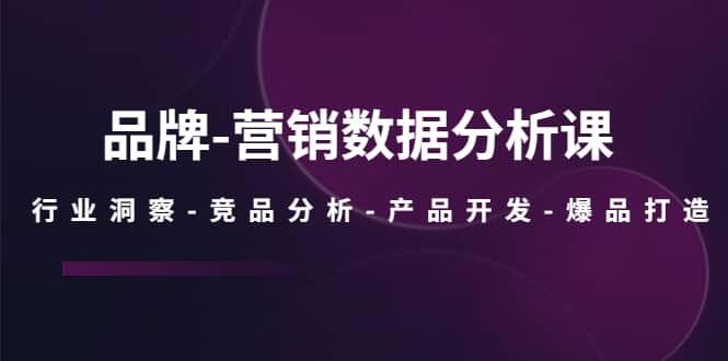 品牌-营销数据分析课，行业洞察-竞品分析-产品开发-爆品打造 - 维兴科技-维兴科技