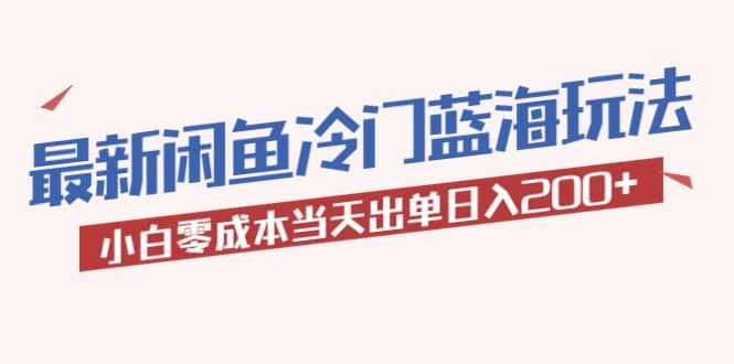 2023最新闲鱼冷门蓝海玩法，小白零成本当天出单日入200+ - 维兴科技-维兴科技