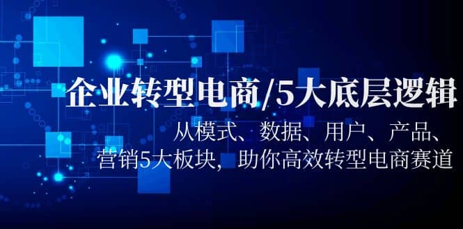 企业转型电商/5大底层逻辑，从模式 数据 用户 产品 营销5大板块，高效转型 - 维兴科技-维兴科技