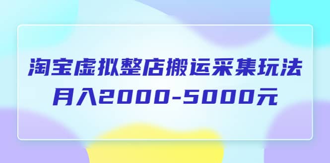 淘宝虚拟整店搬运采集玩法分享课：月入2000-5000元（5节课） - 维兴科技-维兴科技