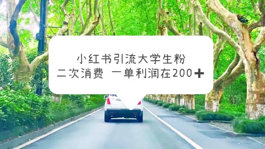 小红书引流大学生粉，变现项目，一单利润在200+（教程+资源） - 维兴科技-维兴科技