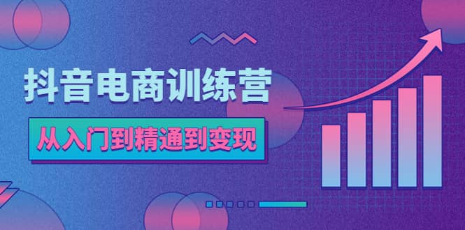 抖音电商训练营：从入门到精通，从账号定位到流量变现，抖店运营实操 - 维兴科技-维兴科技