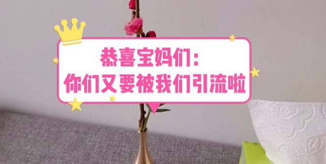恭喜宝妈们：你们又要被我们引流了（教程+222g资料） - 维兴科技-维兴科技