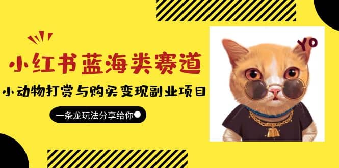 小红书蓝海类赛道：小动物打赏与购买变现副业项目，一条龙玩法分享给你 - 维兴科技-维兴科技