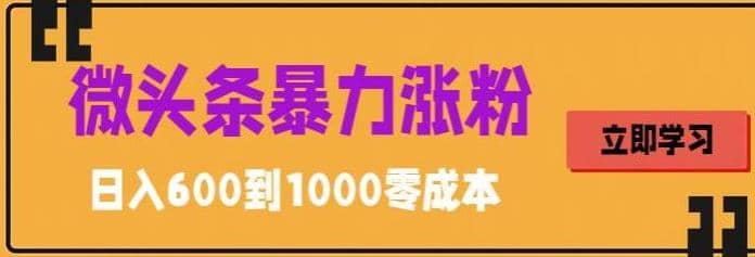 微头条暴力涨粉技巧搬运文案就能涨几万粉丝，简单0成本，日赚600 - 维兴科技-维兴科技