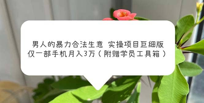男人的暴力合法生意实操项目巨细版：仅一部手机月入3w（附赠学员工具箱） - 维兴科技-维兴科技
