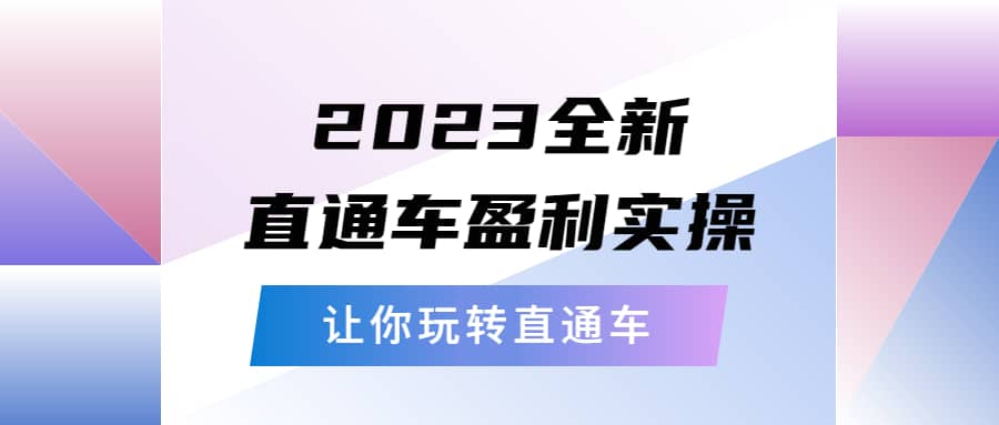 2023全新直通车·盈利实操：从底层，策略到搭建，让你玩转直通车 - 维兴科技-维兴科技