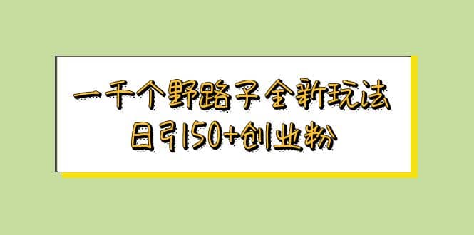 一千个野路子全新玩法 日引50+创业粉 - 维兴科技-维兴科技