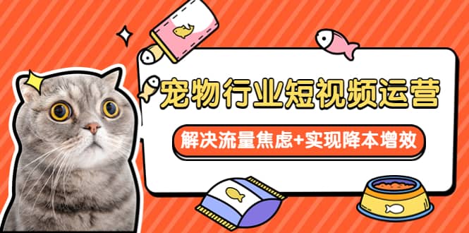 宠物/行业短视频运营 流量增长的一层窗户纸 解决流量焦虑+实现降本增效 - 维兴科技-维兴科技
