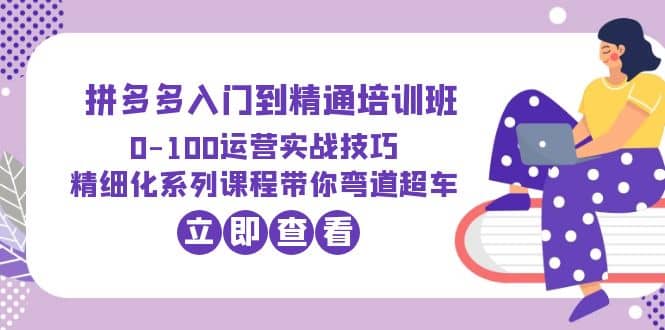 2023拼多多入门到精通培训班：0-100运营实战技巧 精细化系列课带你弯道超车 - 维兴科技-维兴科技