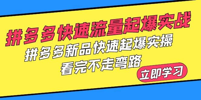 拼多多-快速流量起爆实战，拼多多新品快速起爆实操，看完不走弯路 - 维兴科技-维兴科技