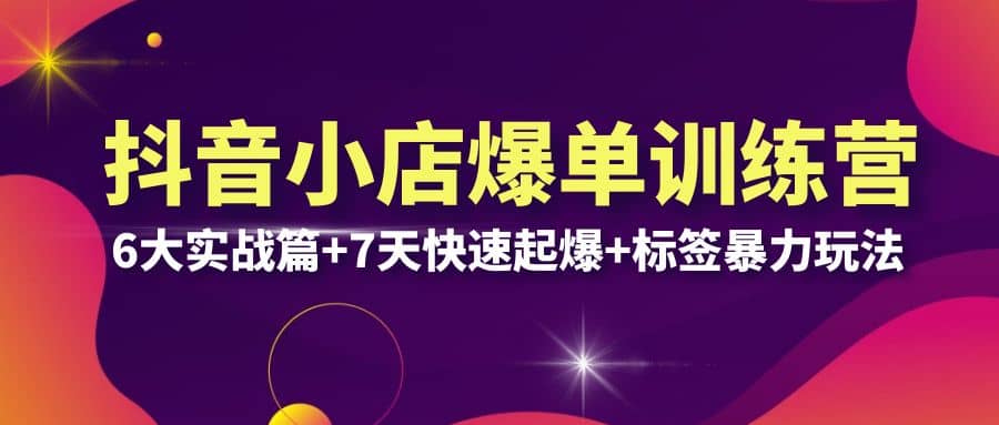抖音小店爆单训练营VIP线下课：6大实战篇+7天快速起爆+标签暴力玩法(32节) - 维兴科技-维兴科技