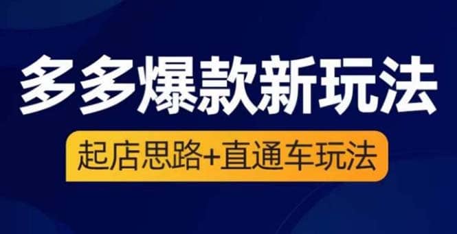 2023拼多多爆款·新玩法：起店思路+直通车玩法（3节精华课） - 维兴科技-维兴科技
