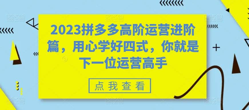 2023拼多多高阶运营进阶篇，用心学好四式，你就是下一位运营高手 - 维兴科技-维兴科技