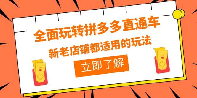 全面玩转拼多多直通车，新老店铺都适用的玩法（12节精华课） - 维兴科技-维兴科技