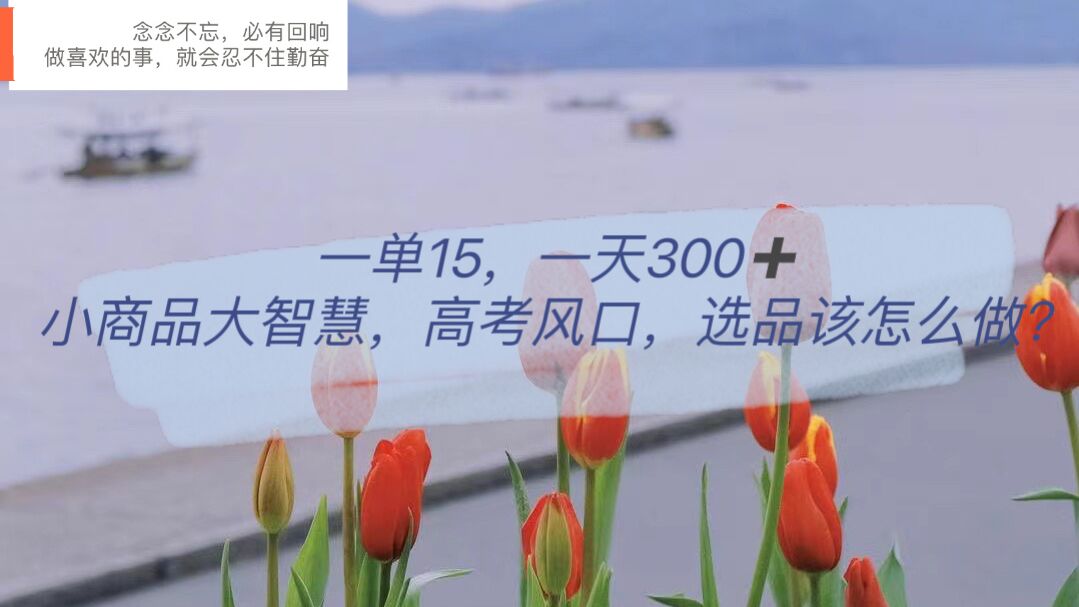 一单15，一天300+，小商品大智慧，高考风口，选品该怎么布局 - 维兴科技-维兴科技