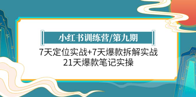 小红书训练营/第九期：7天定位实战+7天爆款拆解实战，21天爆款笔记实操 - 维兴科技-维兴科技