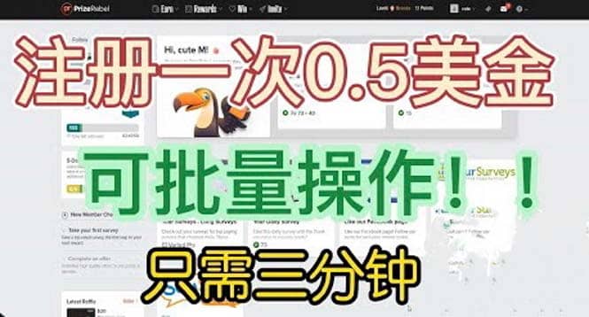 国外项目注册一次0.5美金 只需三分钟无脑操作 可批量放大 小白工作室福利 - 维兴科技-维兴科技