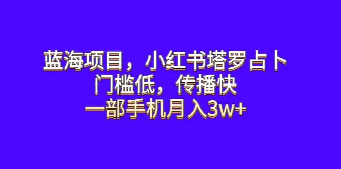 蓝海项目，小红书塔罗占卜，门槛低，传播快，一部手机月入3w+ - 维兴科技-维兴科技